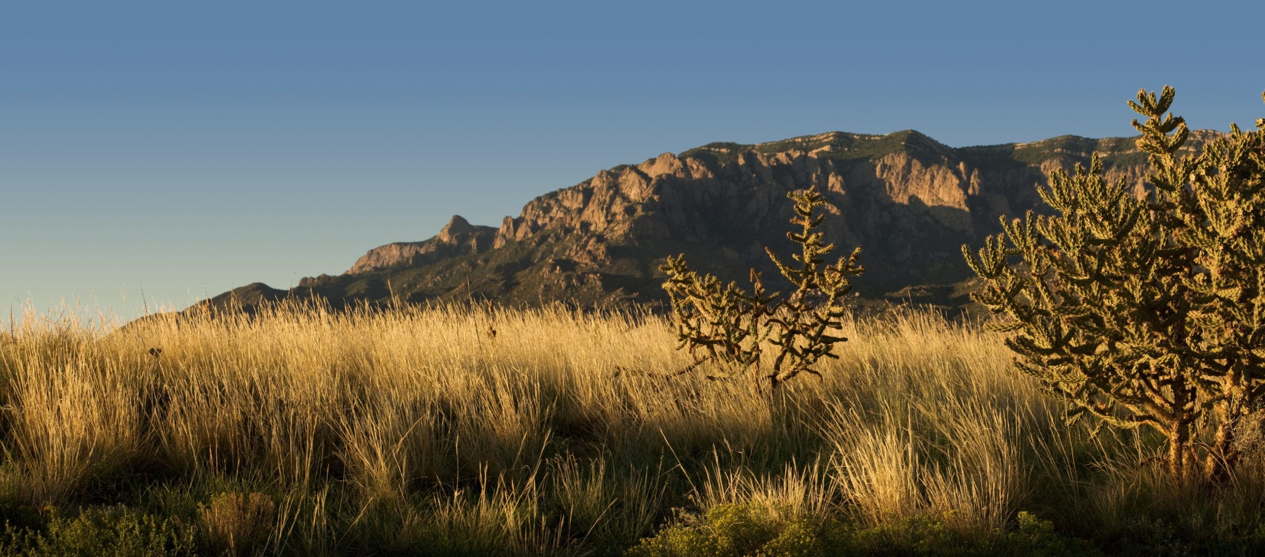 Photo of a sunset over the New Mexico desert with mountains in the background